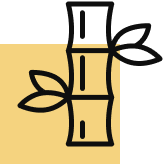 Experiencias de Pesca Excepcionales